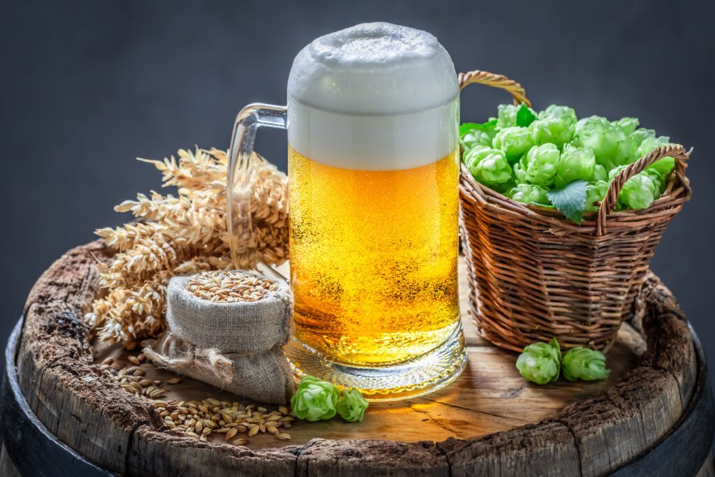Chope de bière et houblon sur fût de chêne